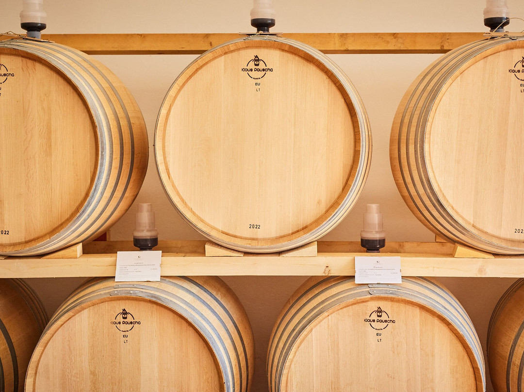 Tenuta Golo - Winery & Villa主图