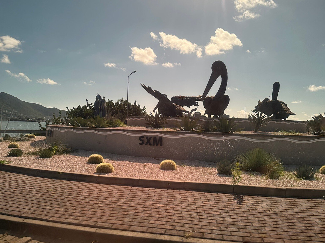 Brown Pelicans-辛普森湾必去景点