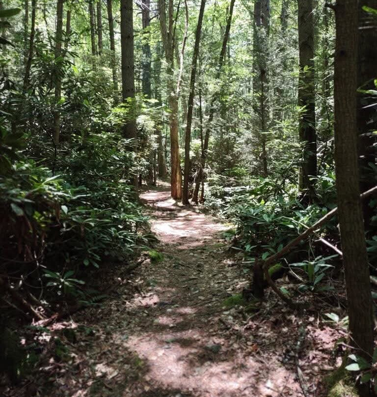 Little Beaver State Park-Beaver必去景点