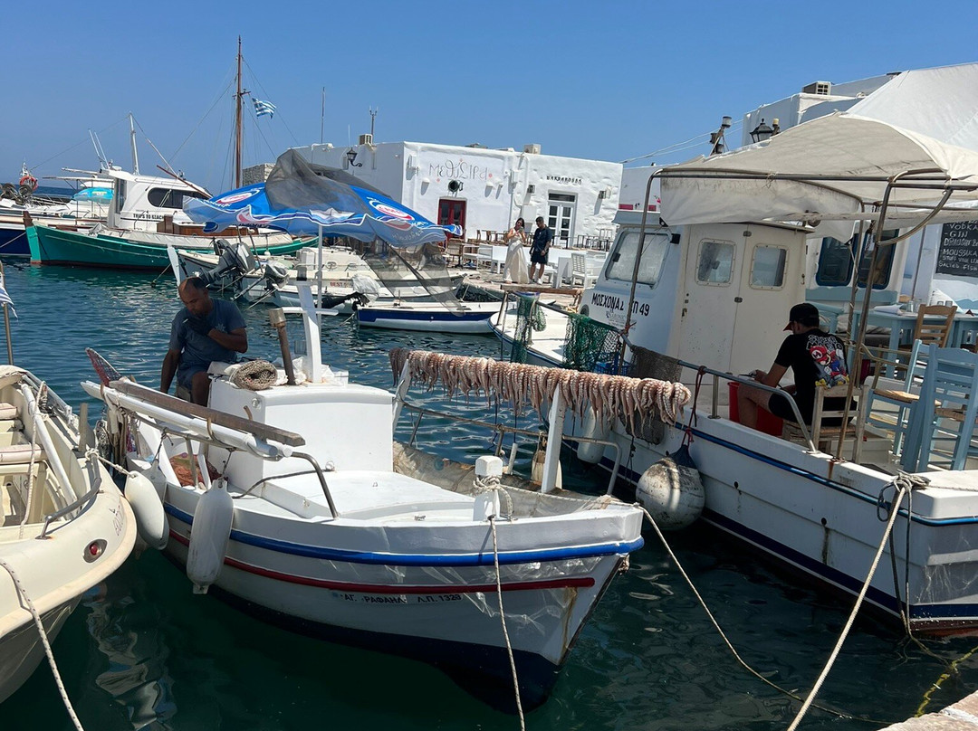 Old Port of Naoussa-纳乌萨必去景点
