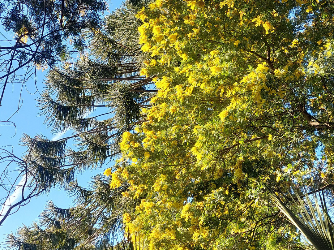 木金俱乐部酒店主图