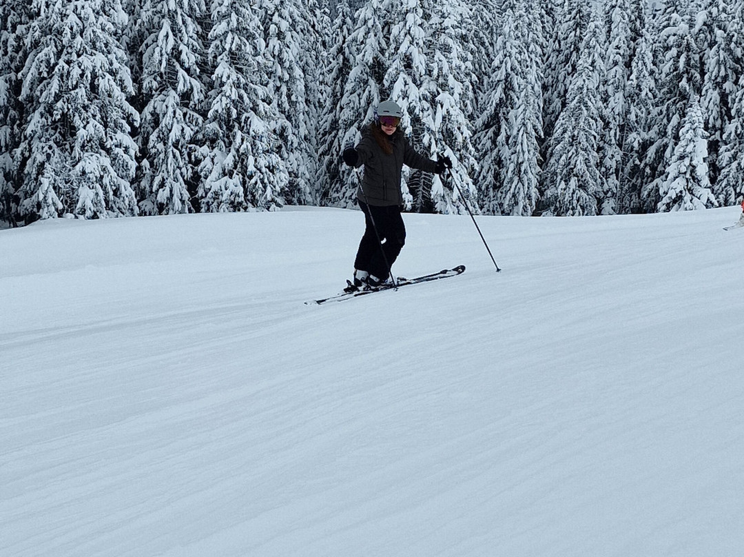 Skigebiet Betelberg-Lenk im Simmental必去景点