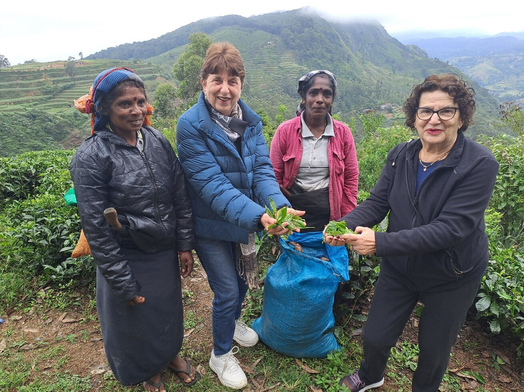 Wicky Tours Sri Lanka-尼甘布必去景点