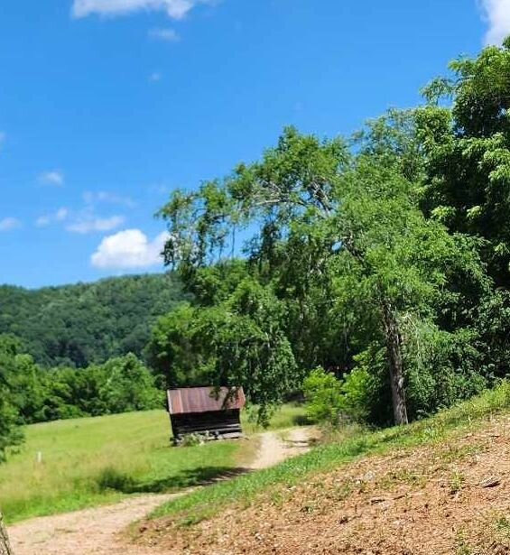 East Fork Stables-Jamestown必去景点