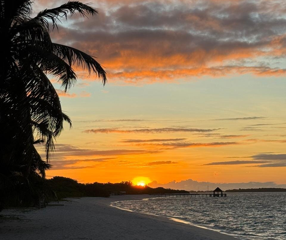 Waadhee Inn Vashafaru主图