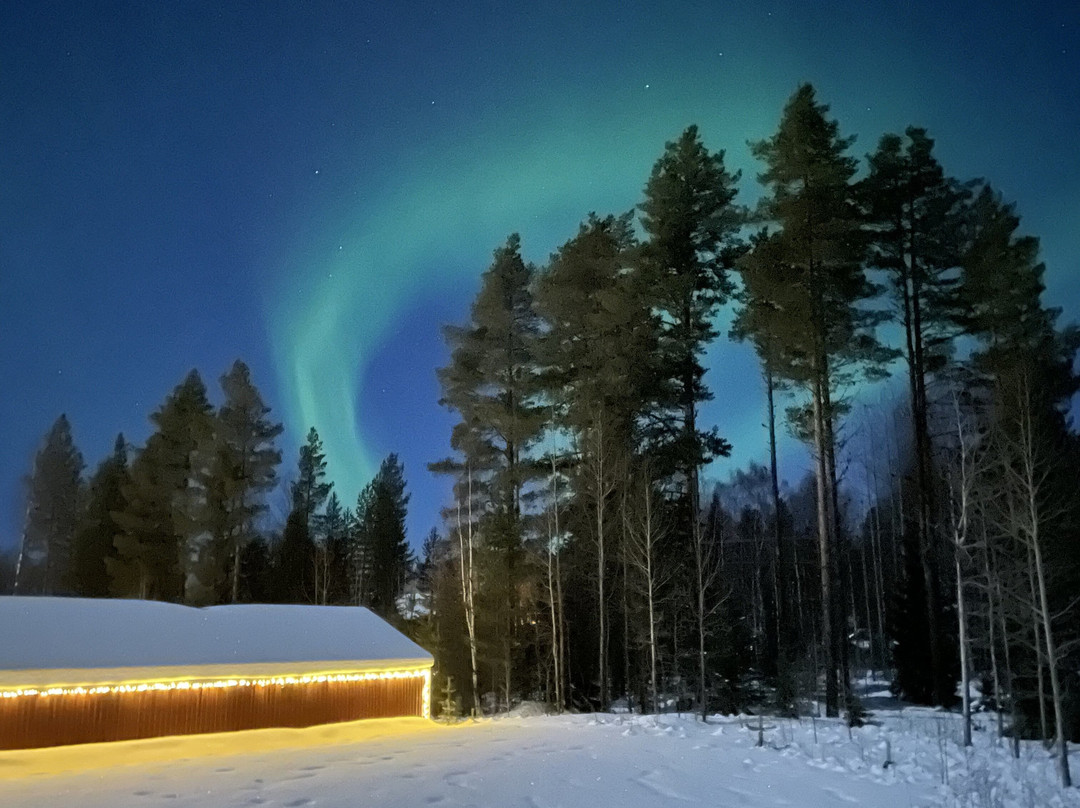 Kronlund Kursgård主图