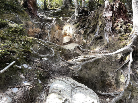 Wānaka Mountain Guides-瓦纳卡必去景点