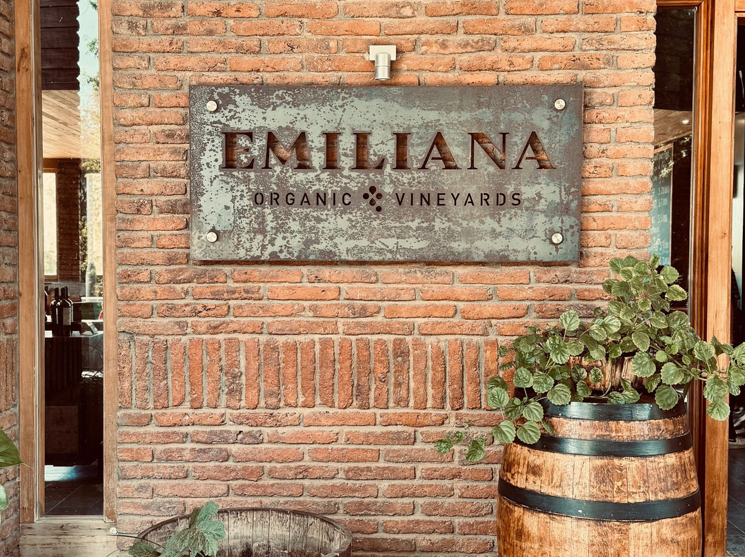 Valparaiso Wine Tours-瓦尔帕莱索必去景点