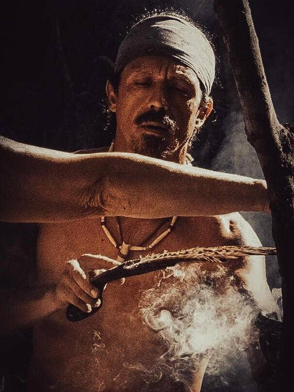 Nayarit Wild-旧金山必去景点