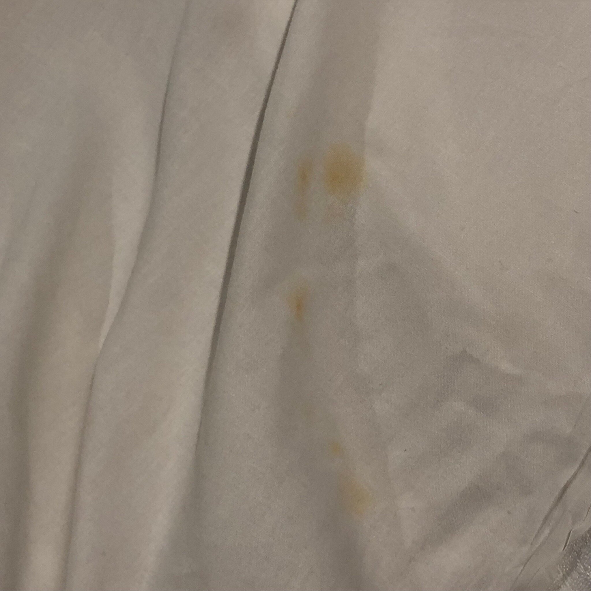 Crystal Lodge Motel-官方