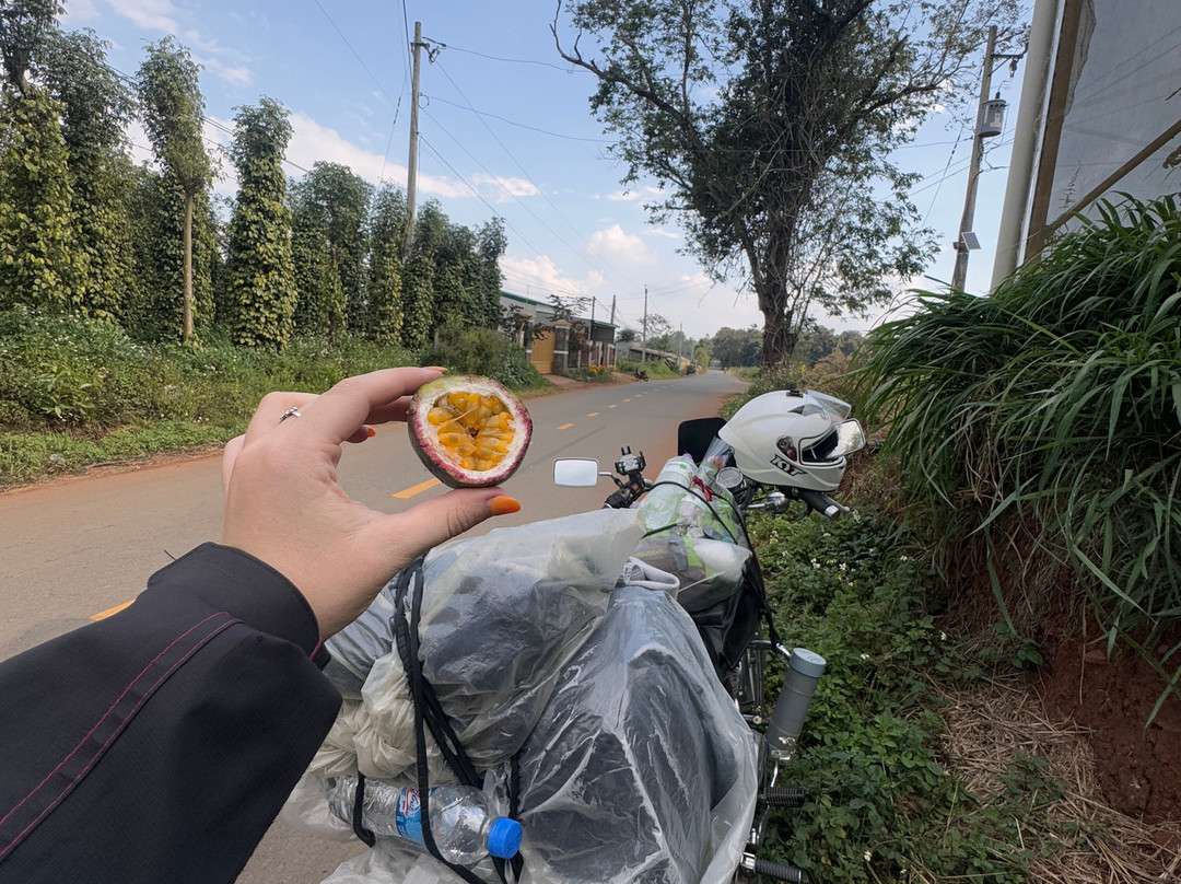 Mui Ne Easy Rider景点图片