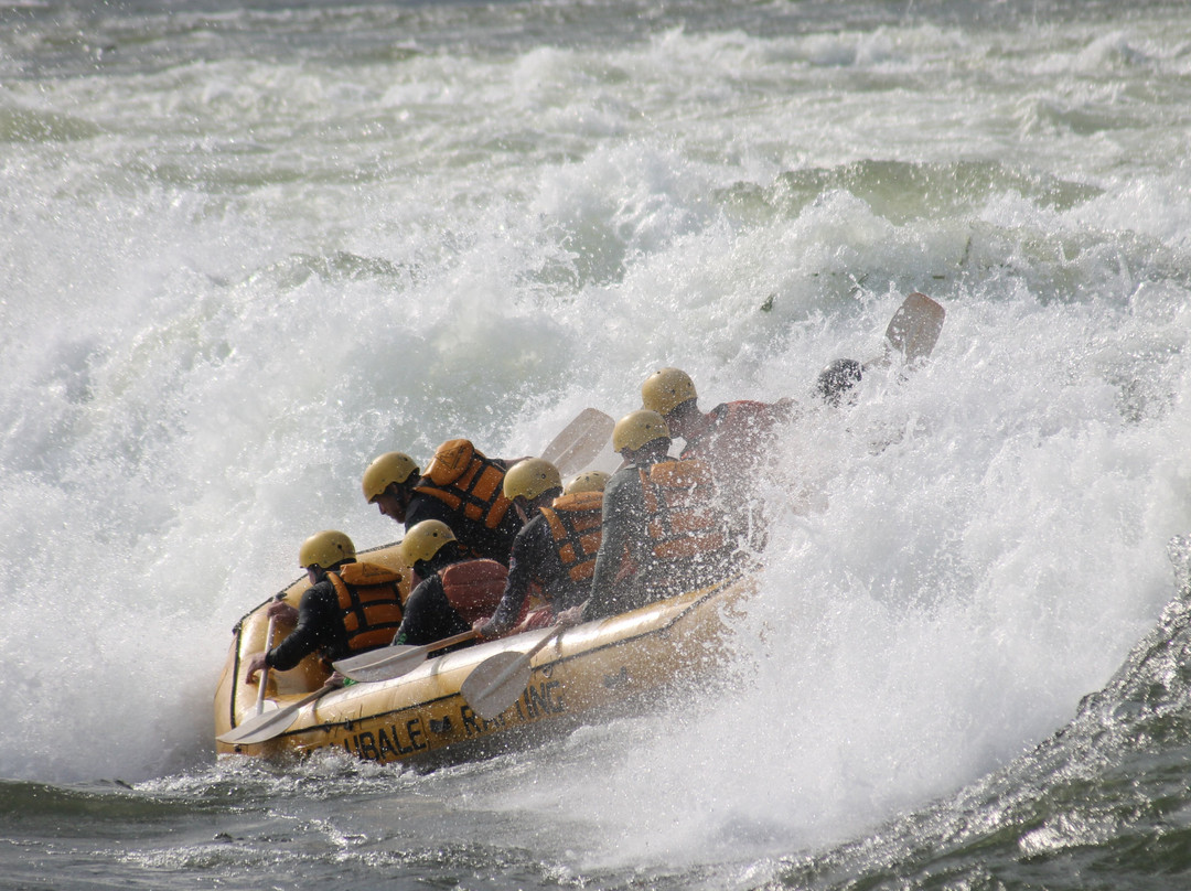 Nalubale Rafting-金贾必去景点