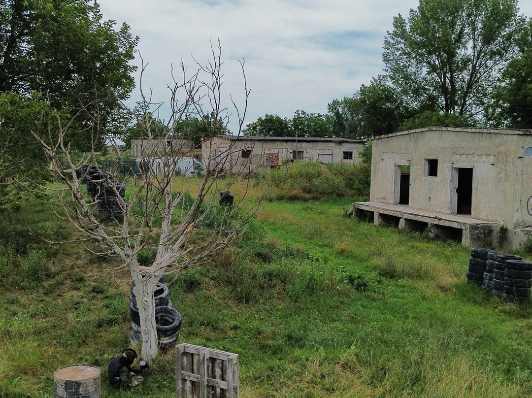 Arena Paintball Timisoara景点图片