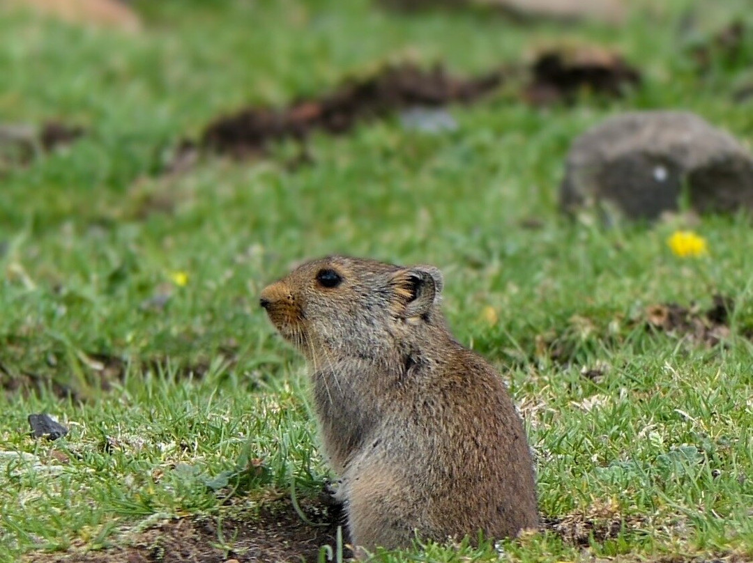 Birds and Beyond-Himeville必去景点