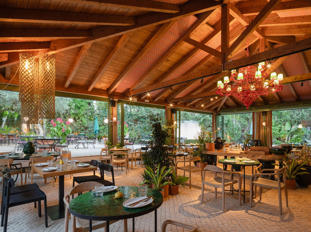 Casa Limón