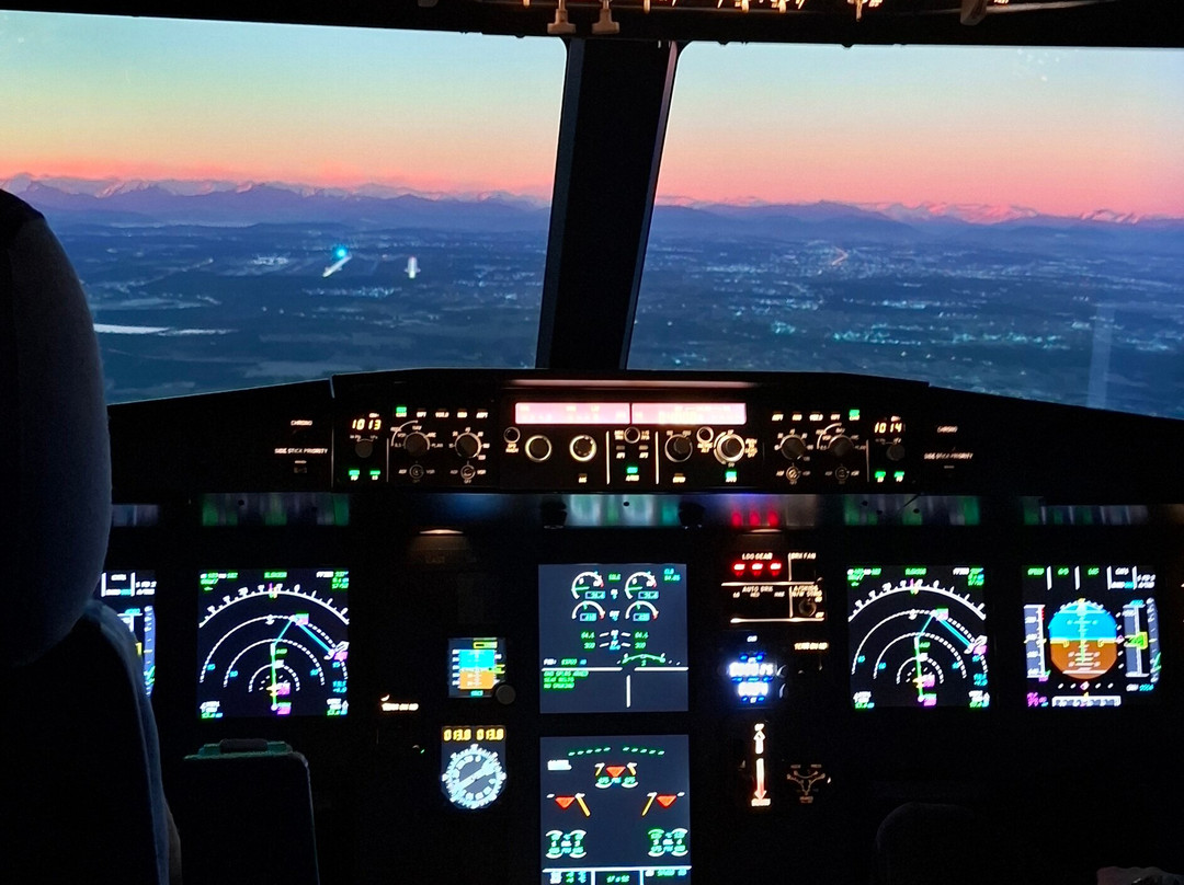 Dastyflysim - Professional Flight Simulator景点图片