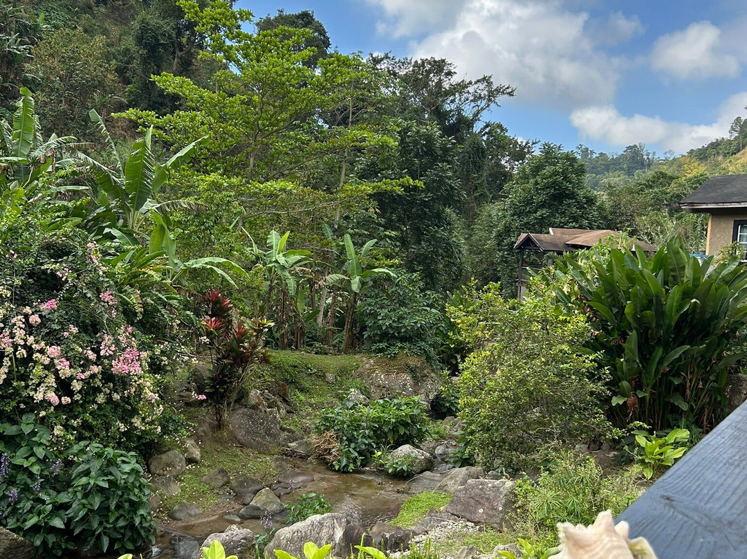 Rafjam's Bed & Breakfast主图