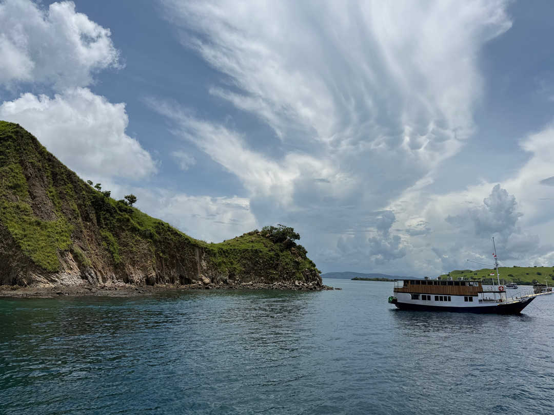 Dragon Island Tours景点图片