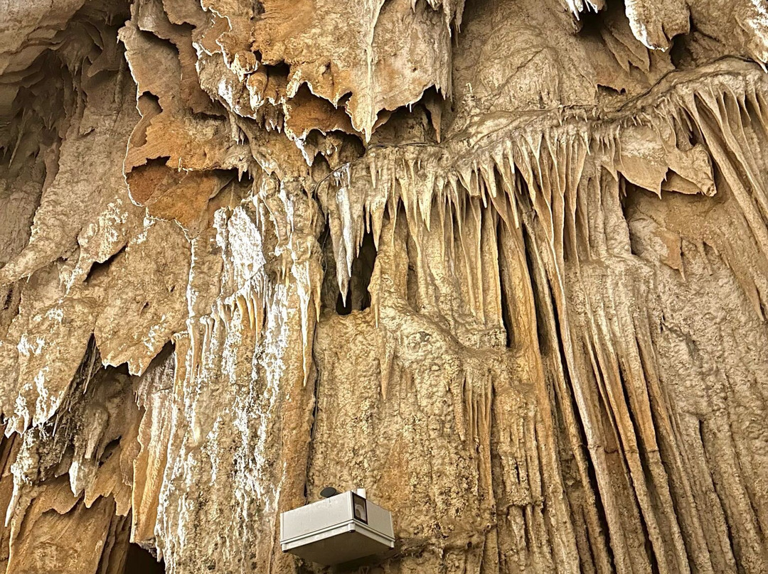 La Grotte Des Demoiselles景点图片