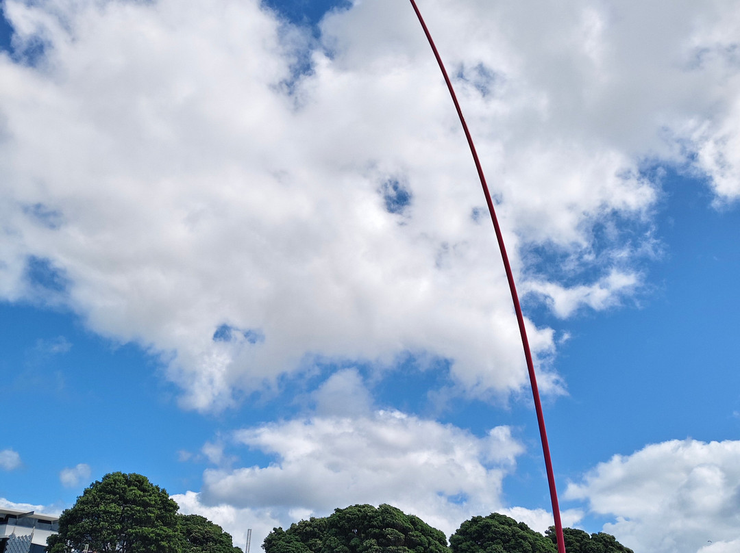 Te Rewa Rewa Bridge-新普利默斯必去景点