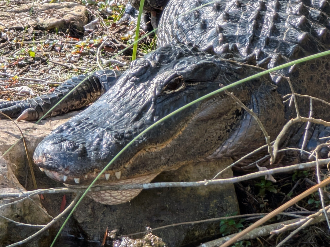 Loop Road-奥乔皮必去景点