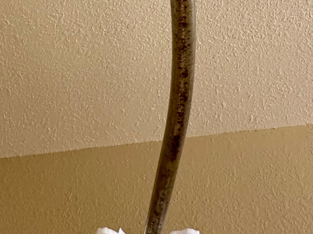 Extended Stay America - Washington, D.C. - Reston主图