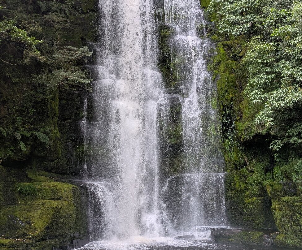 McLean Falls Walk景点图片