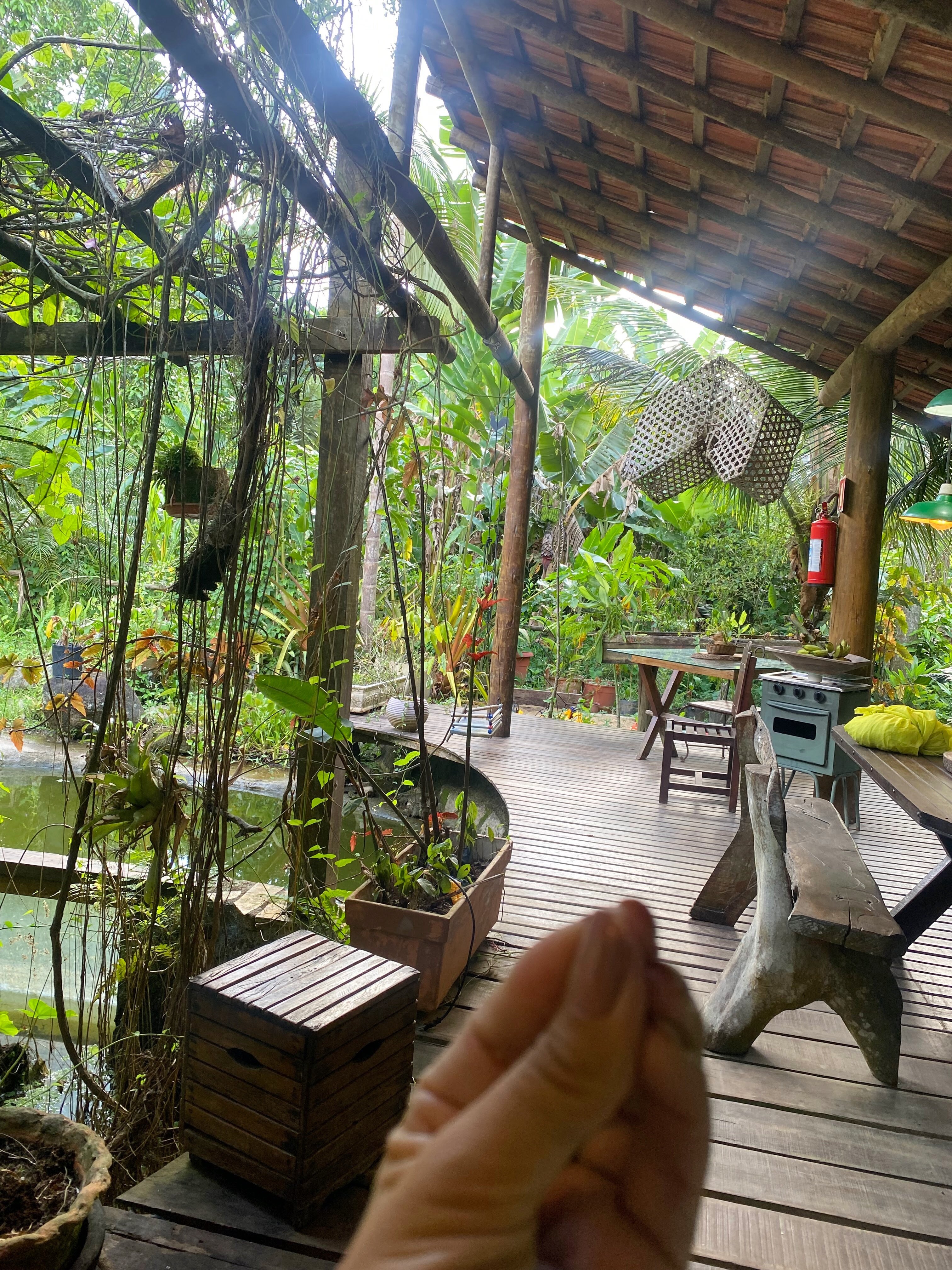 Paraty Paradiso-官方