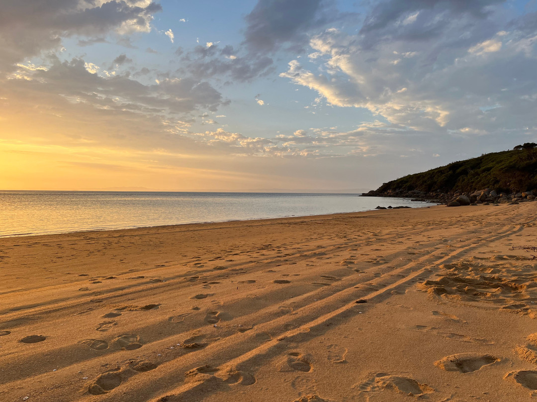 Sea Kayak Australia-Abbotsford必去景点