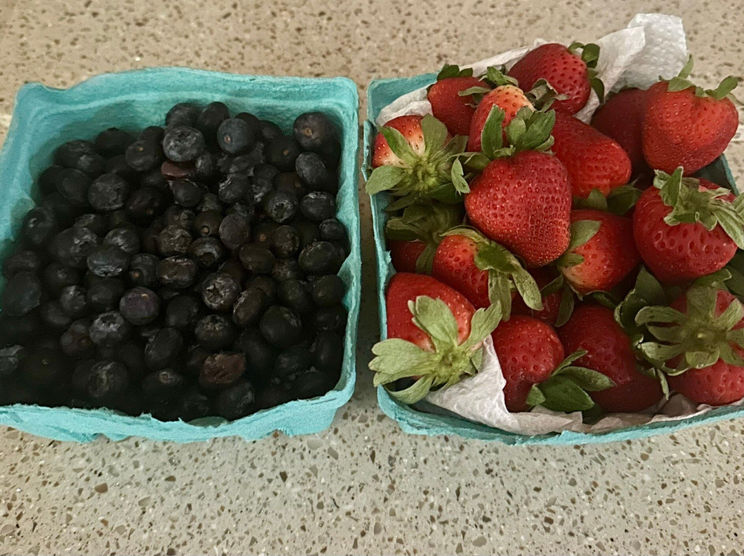 Jaemor Farms-Alto必去景点