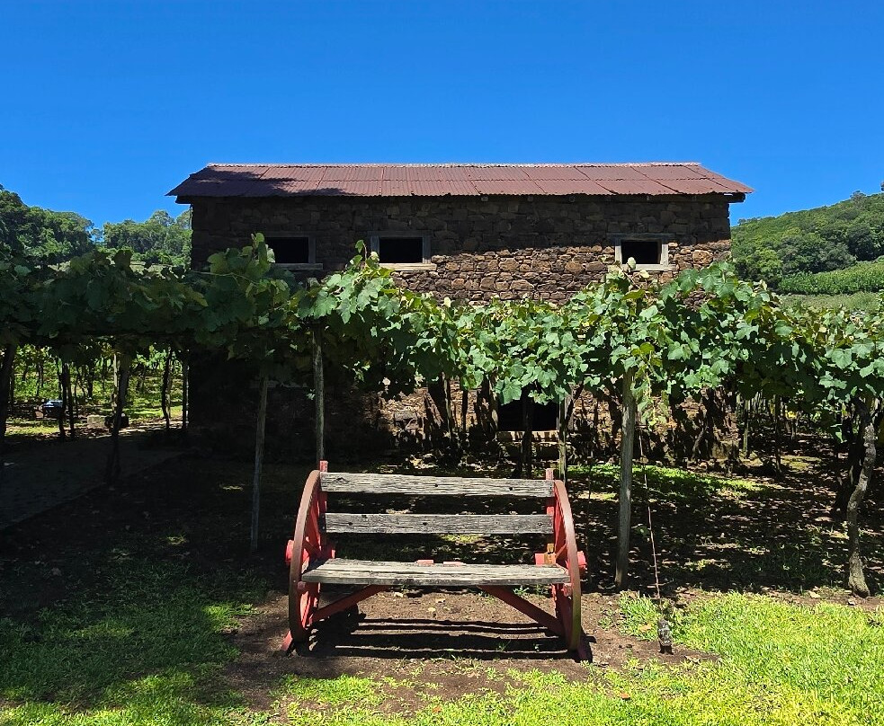 Cantina Strapazzon-本图贡萨尔维斯必去景点