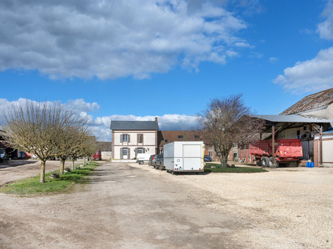 Volailles Et Escargots De La Broche