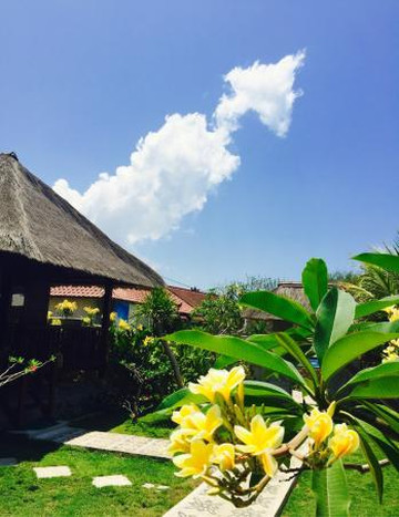 阿卡贺小屋酒店主图