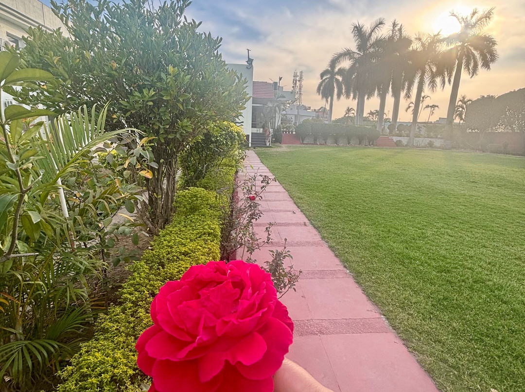 黑芒果渡假村主图