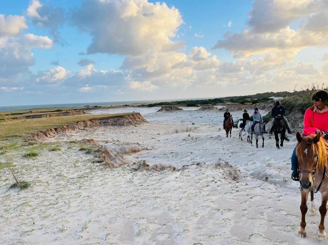 Eco Equus Cabalgatas-La Pedrera必去景点