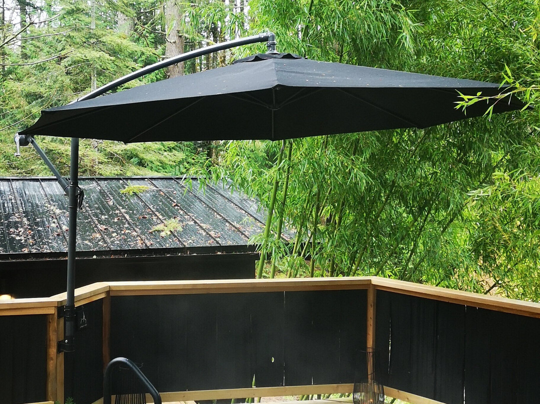 Solace Organic Spa景点图片