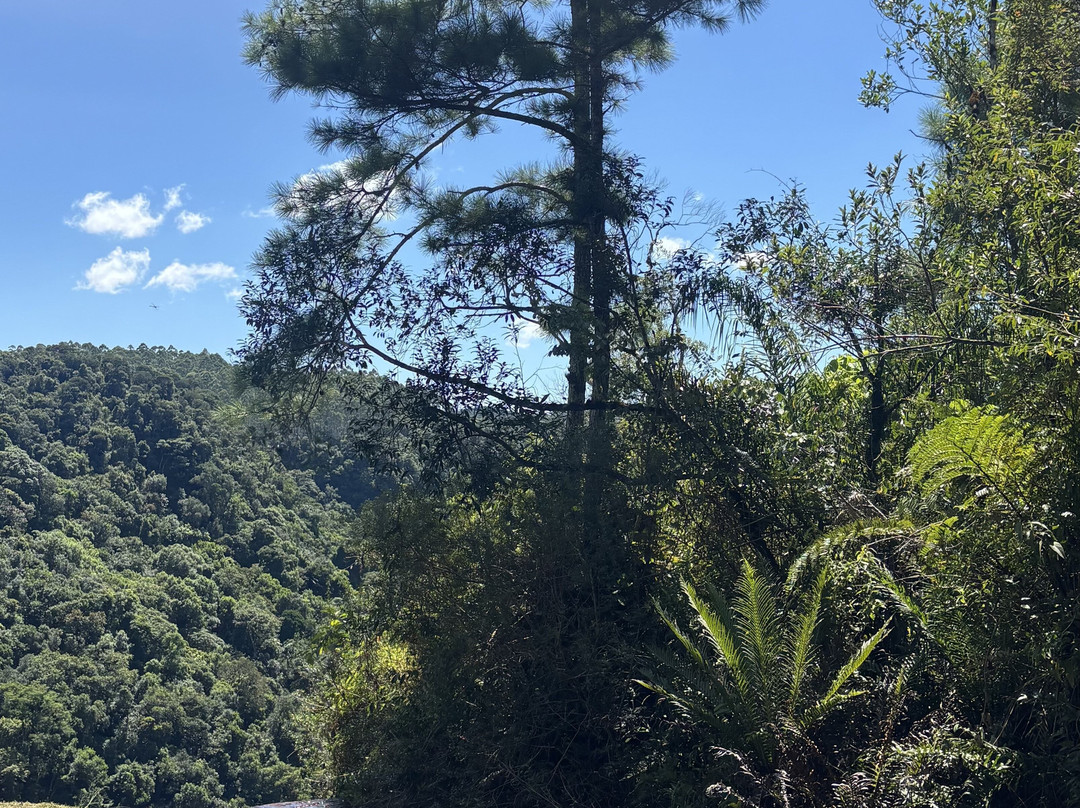 Cachoeira Salto do Zinco-Benedito Novo必去景点