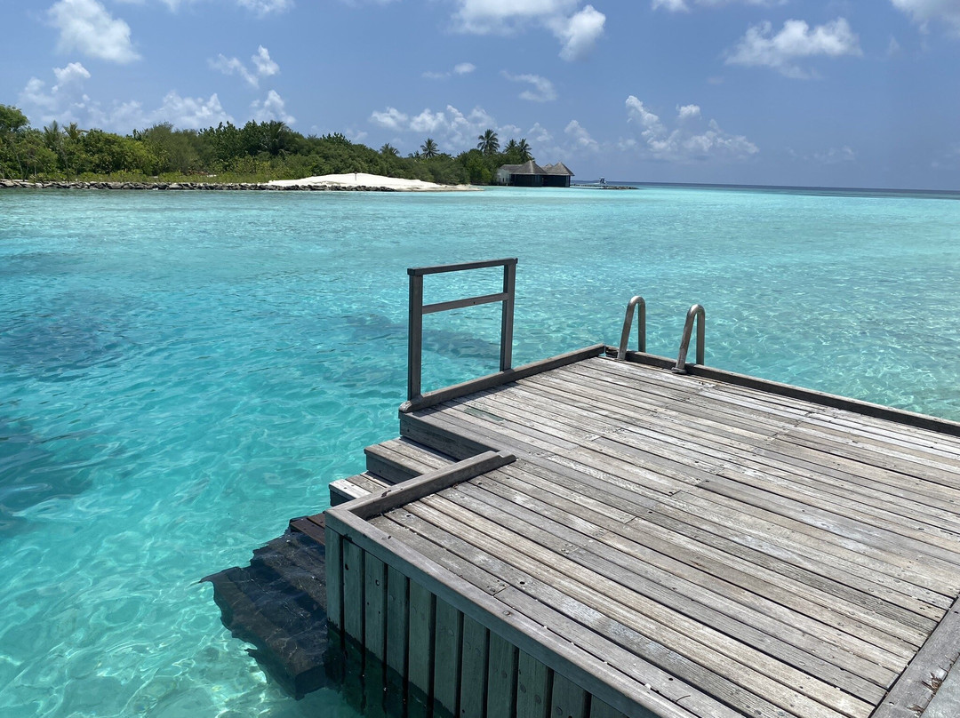 The Bilimbi Guesthouse & Inn主图