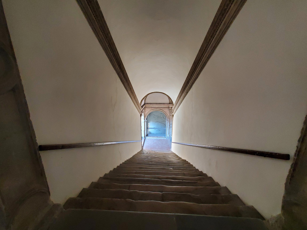 Palazzo Pio di Savoia景点图片