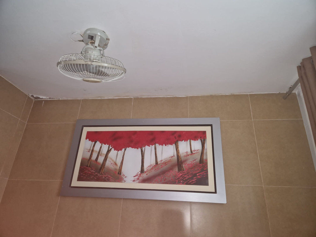 D´Milez Hotel主图