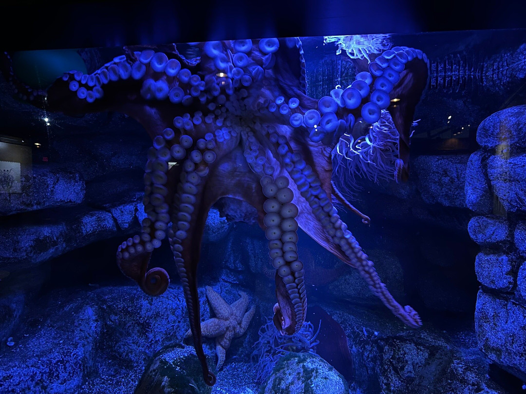 Akron Zoo-阿克伦必去景点