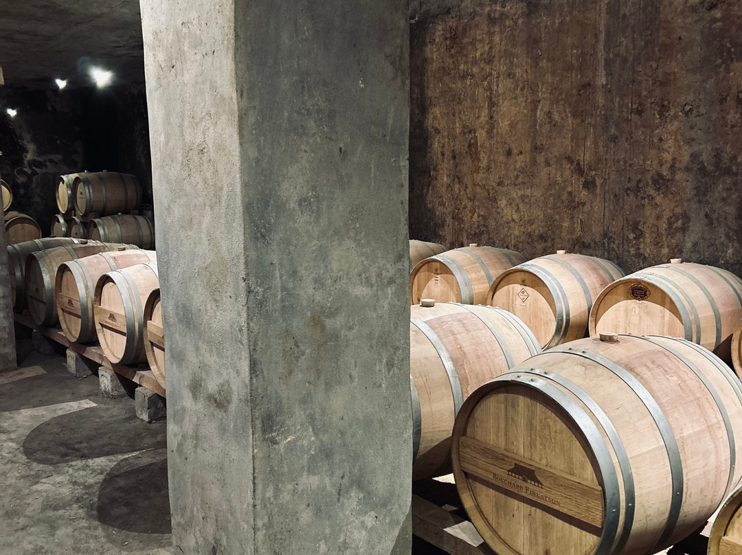 Bouchard Finlayson Winery景点图片