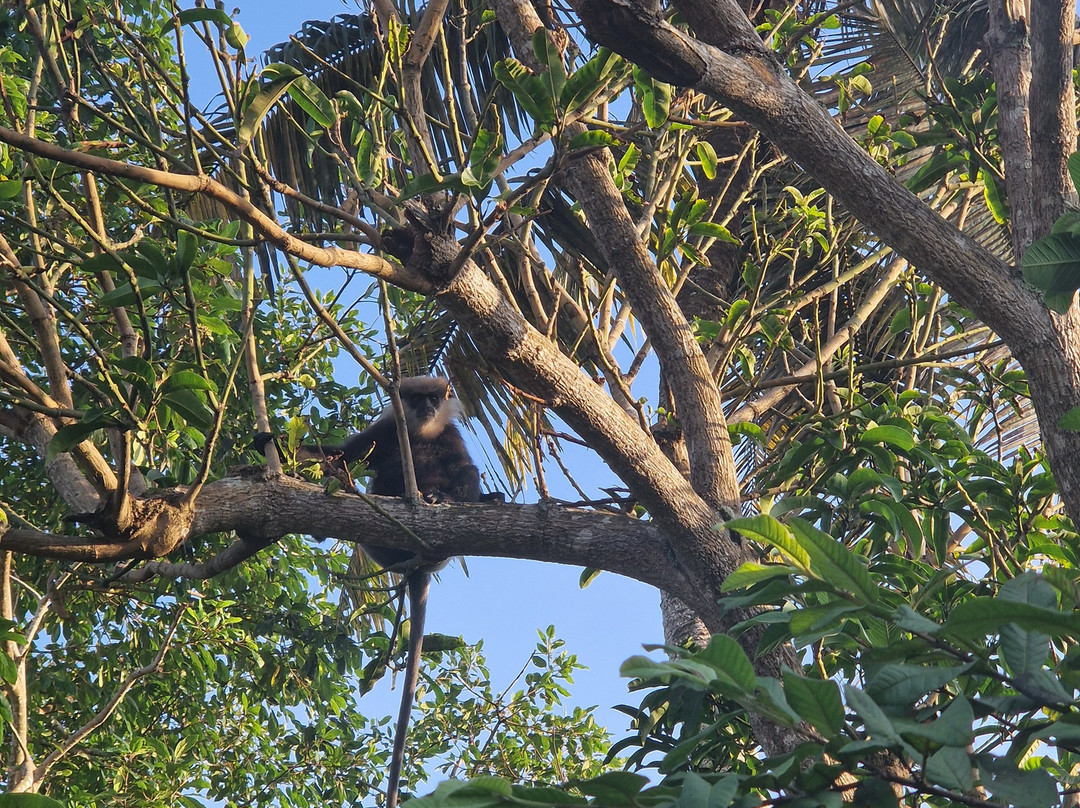 Travelon Tours Sri Lanka-瓦勒迦玛必去景点