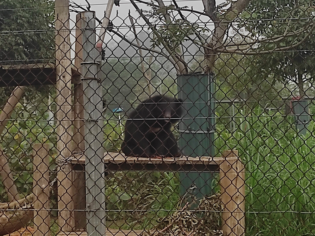 Bear Sanctuary Ninh Binh景点图片