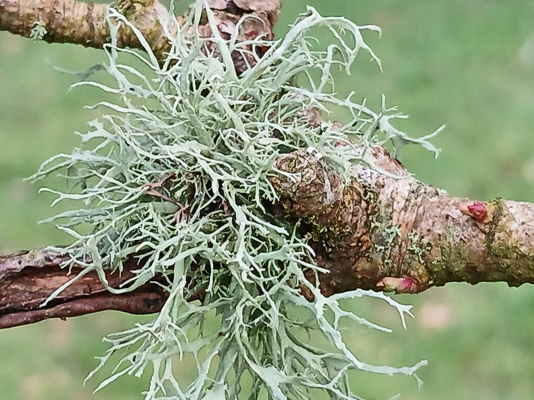 彭伯特布雷恩豪华住宿加早餐酒店主图