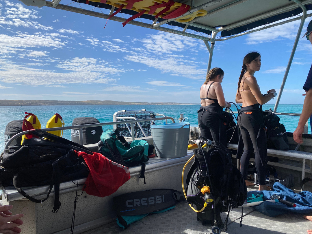 Ningaloo Reef Dive-珊瑚湾必去景点