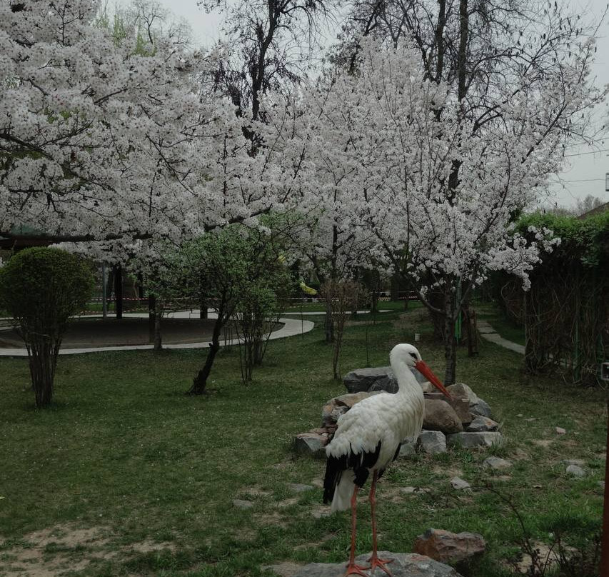 Seoul National Park-塔什干必去景点