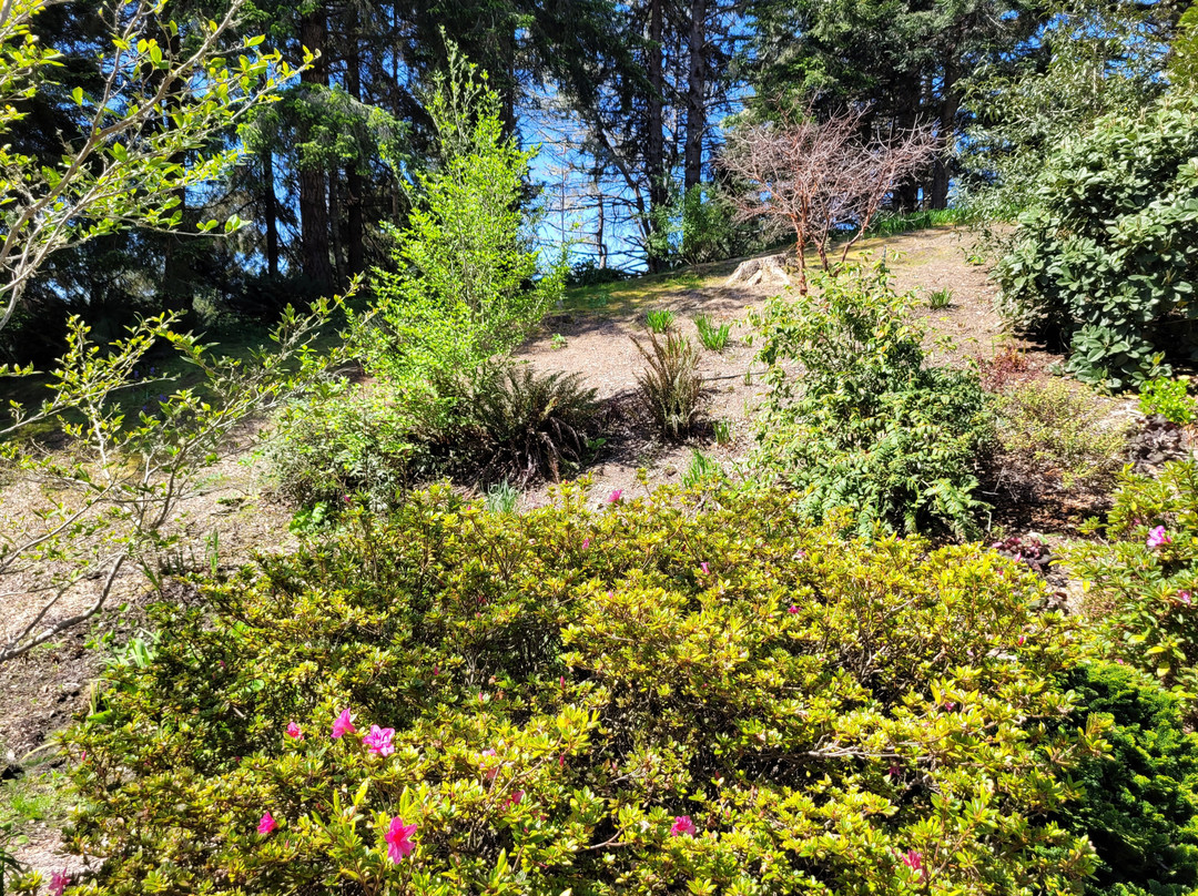 Humboldt Botanical Garden-尤里卡必去景点