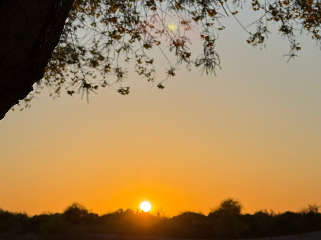 West Wetlands Park-尤马必去景点