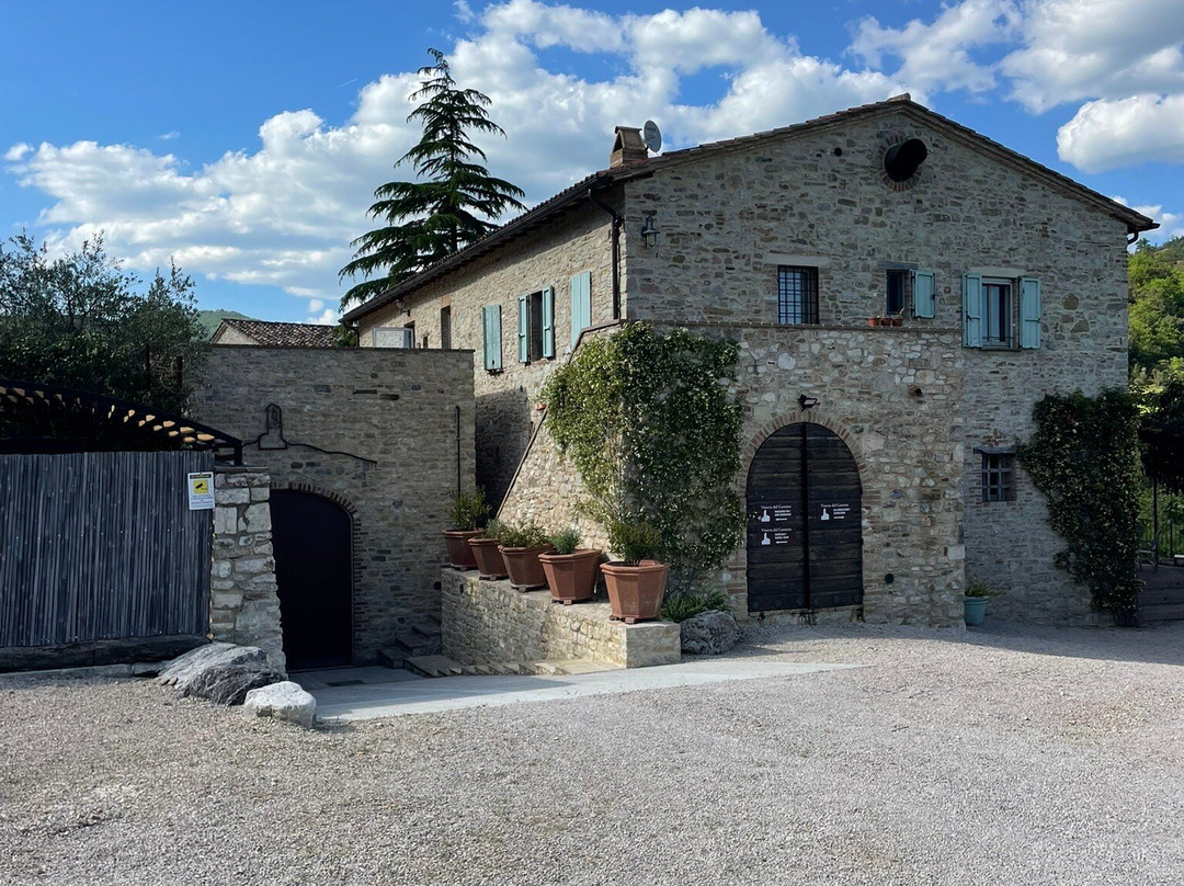 Vineria del Carmine景点图片